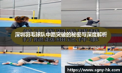 凤凰联盟平台